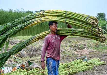 Government’s ‘Double Strike’ on Sugar