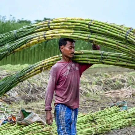 Government’s ‘Double Strike’ on Sugar