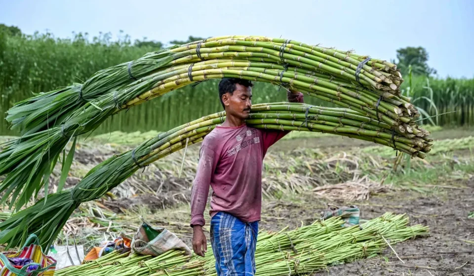 Government’s ‘Double Strike’ on Sugar